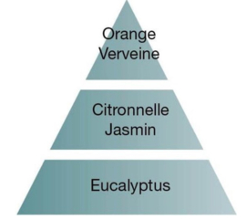 Maison Berger citronella navulling 500ml