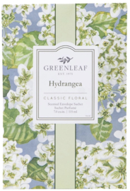 Hydrangea