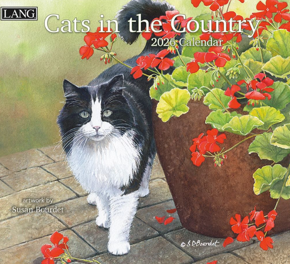 LANG Kalender 2026 - CATS IN THE COUNTRY