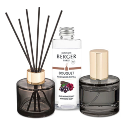 Duo Mini Bouquet Spray en geurstokjes Maison Berger Oud Hypnotique
