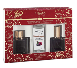 Duo Mini Bouquet Spray en geurstokjes Maison Berger Oud Hypnotique