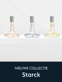 Lampe Berger Giftset by Starck Rose