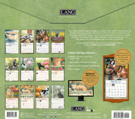 LANG Kalender 2025 Cats in the Country