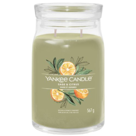 Yankee Candle Signature Large Jar Sage & Citrus