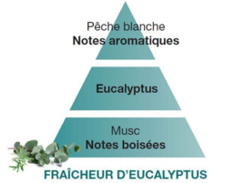 Lampe Berger Fresh Eucalyptus 500ml