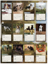 Lang Kalender 2027 -LOVE OF DOGS