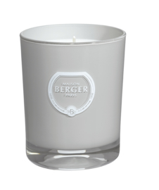 Uitgestorven Hoogland neef Maison Berger citronella kaars | Maison Berger geurkaarsen | Il Regalo Home