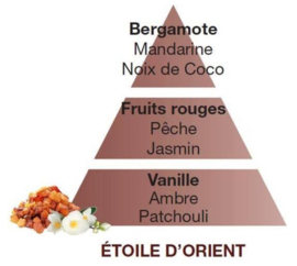 Lampe Berger Oriental Star 500ml