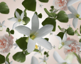 Maison Berger Geurkaars Clarity Wit Precious Jasmine