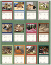 Lang Kalender 2027 -PUPPY