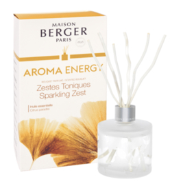 Maison Berger Geurstokjes Aroma Energy 180 ml