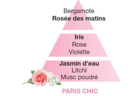 Lampe Berger Paris Chic 500ml