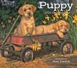 LANG Kalender 2025 Puppy