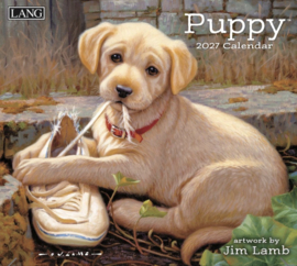 Lang Kalender 2027 -PUPPY