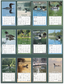 Loons On The Lake 2024 Grote kalender