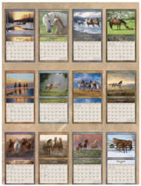 Lang Kalender 2027 -HORSES IN THE MIST