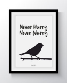 Never Hurry Never Worry