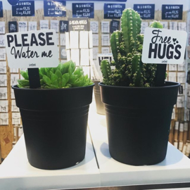 Plantensteker | Free hugs
