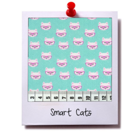 speelkussen SMART CATS