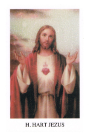 noveenkaarsen H. Hart Jezus per 6 stuks