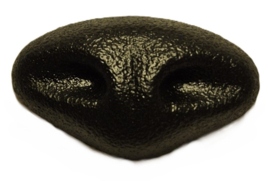 Kattenneus Zwart 24mm