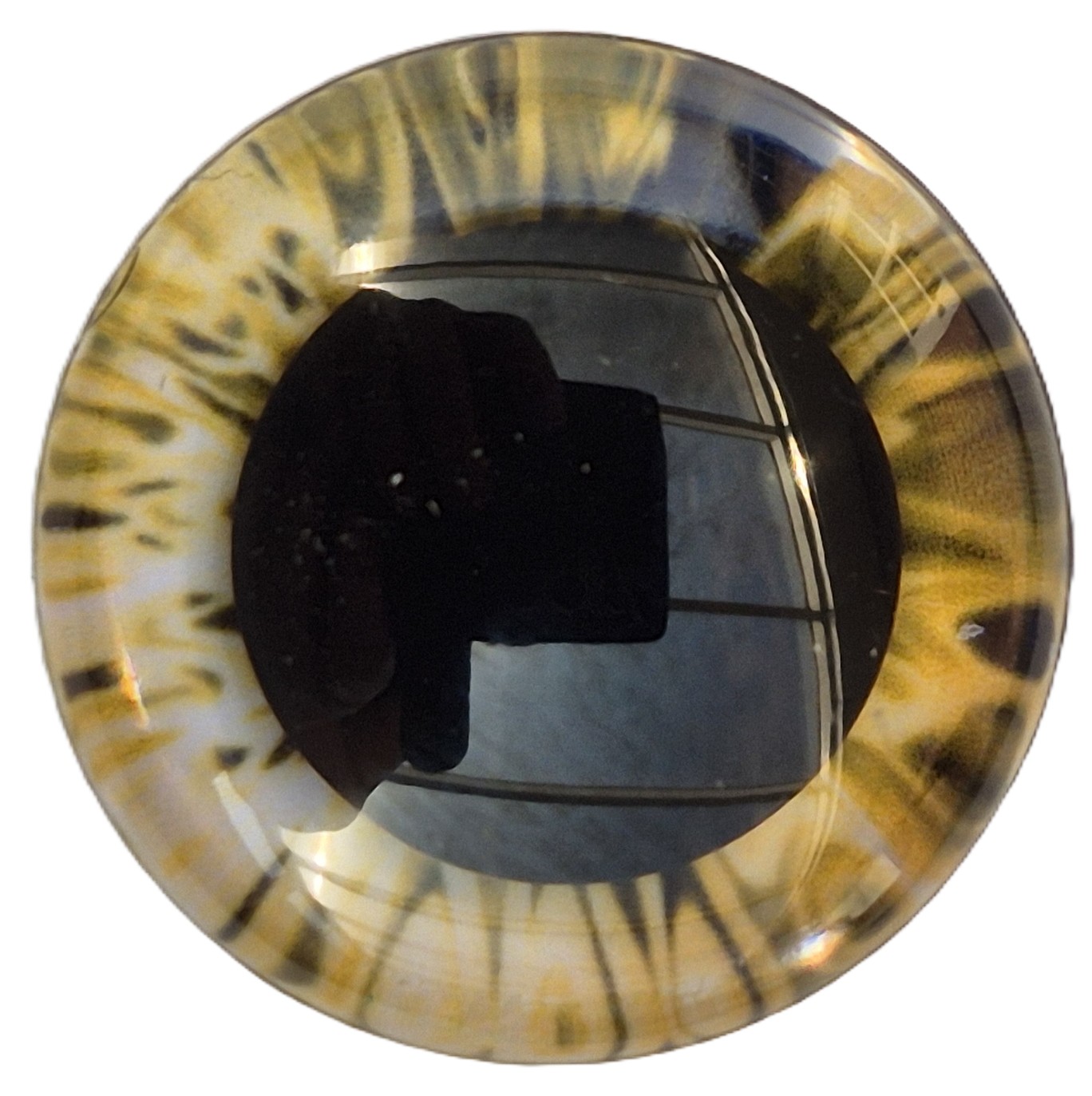 25mm Gouden Fantasie Ogen