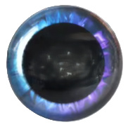 14mm Paars Blauw Fantasie Ogen