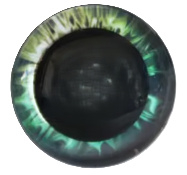 14mm Donker Groene Fantasie Ogen