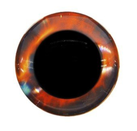 12mm Bruine Fantasie Ogen