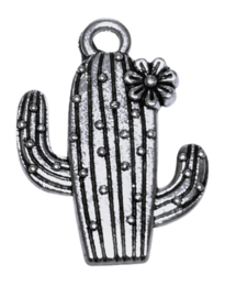 Bedeltje Cactus