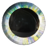 Geel Groene Fantasie Ogen 25mm