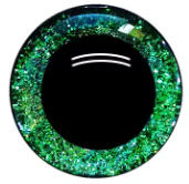16mm Groen Glitter Ogen