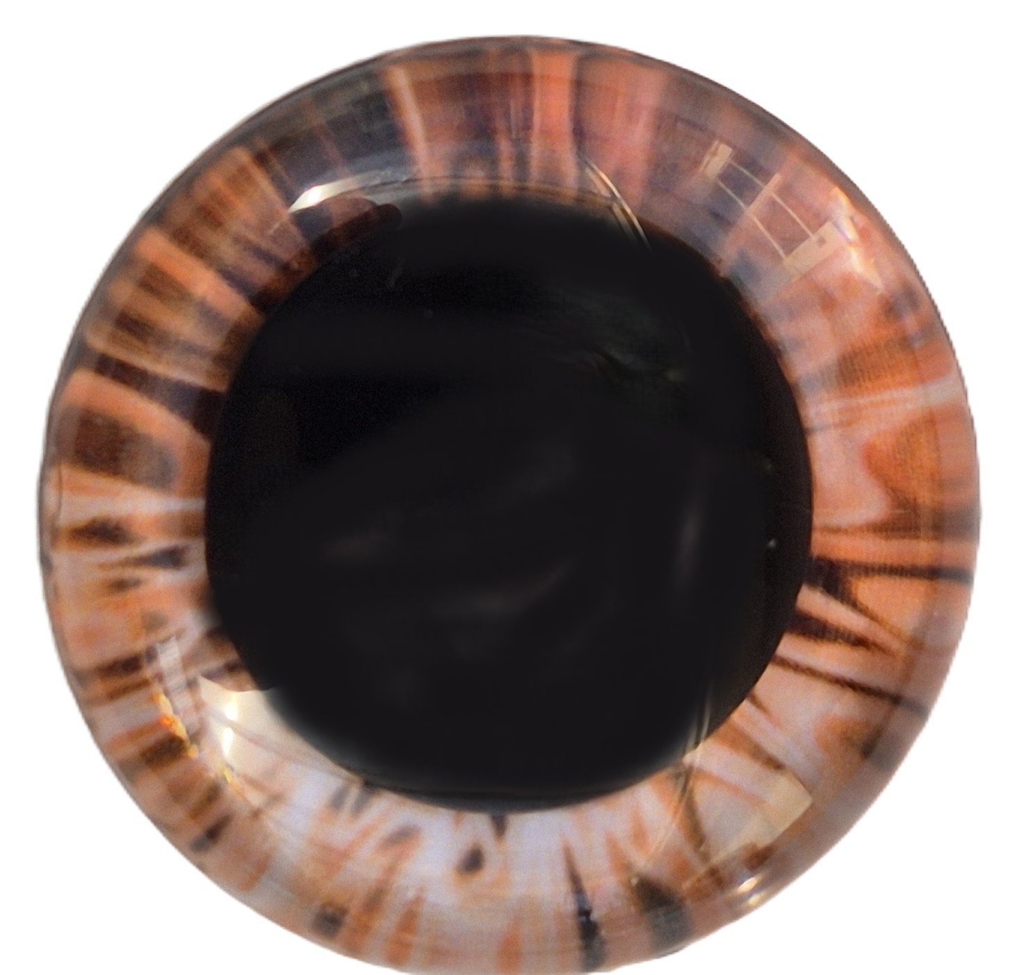 25mm Licht Oranje Fantasie Ogen