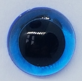 Veiligheidsogen Doorzichtig Blauw 10mm