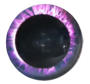 14mm Paarse Fantasie Ogen