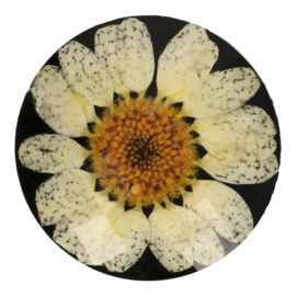 Knoop Margriet 22mm