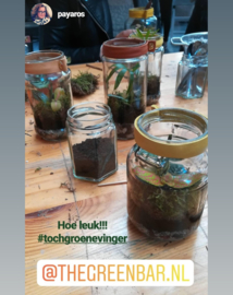 Workshop Recycle terrarium maken