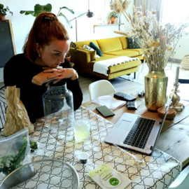 Online Workshop Eco Systeem of Terrarium maken