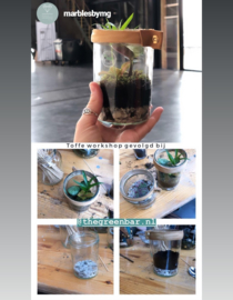 Workshop Recycle terrarium maken
