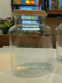 Glazen pot Eco Systeem voor Jennifer