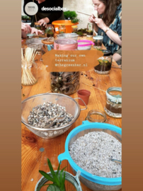 Workshop Recycle terrarium maken