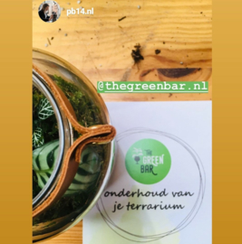 Workshop Terrarium maken