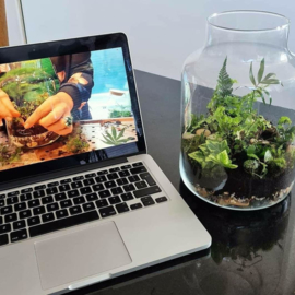 Online Workshop Eco Systeem of Terrarium maken