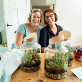 Online Workshop Eco Systeem of Terrarium maken