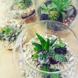 Workshop terrarium making in English