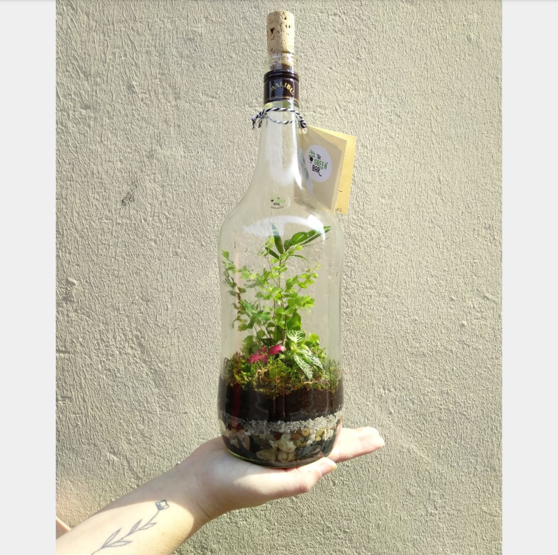 Eco-systeem in fles op maat