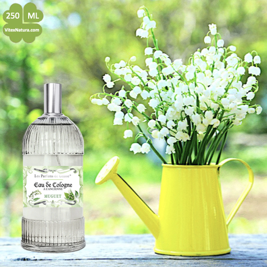 Eau de Cologne à l'Ancienne Maiglöckchen 10x250ml