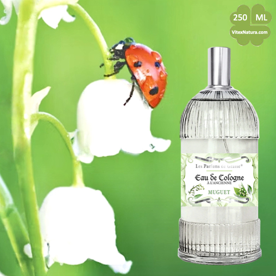 Eau de Cologne à l'Ancienne Maiglöckchen 10x250ml