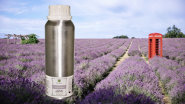 Lavendel olie 1L