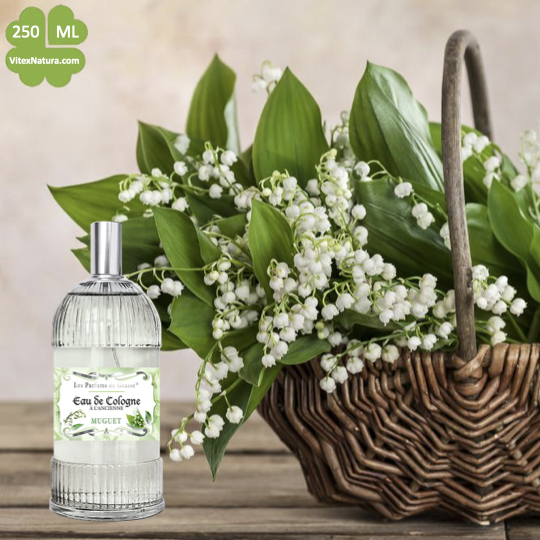 Eau de Cologne à l'Ancienne Maiglöckchen 10x250ml